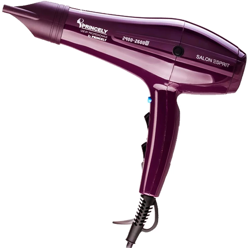 سشوار حرفهای پرینسلی مدل PR250AT